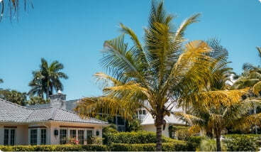 front of florida home with palm trees