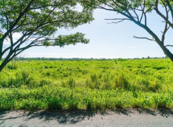 land in florida