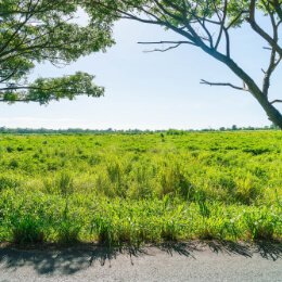 land in florida